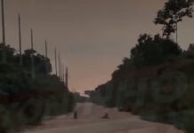 Vídeo: Encontro com onça e filhote interrompe caminhada na Transpantaneira