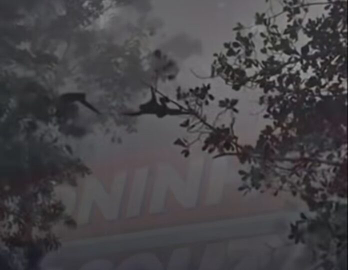 Screenshot_20260413_214926_Instagram