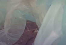 Vídeo: Consumidora encontra carne estragada em Cuiabá