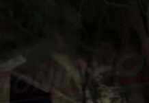 Vídeo: Foragido com 15 anos de prisão por homicídio é preso em Várzea Grande após agredir mulher