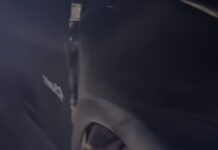 Vídeo: Deputado atropela anta em Nova Maringá e escapa ileso