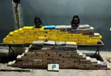 Rotam apreende 146 tabletes de cocaína e prende dois homens em Livramento