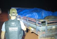 Fiscalização de fronteira apreende carga Ilegal de madeira em Vila Bela