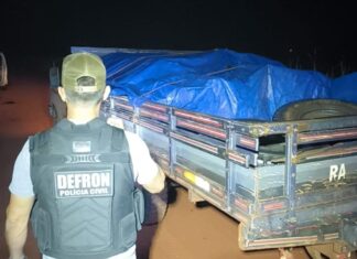 Fiscalização de fronteira apreende carga Ilegal de madeira em Vila Bela