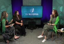 “Começamos com R$ 300”: Bioilha transforma iniciativa simples em negócio de impacto na Amazônia