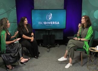 “Começamos com R$ 300”: Bioilha transforma iniciativa simples em negócio de impacto na Amazônia