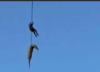 Veja Vídeo – Policial é içado de helicóptero com crocodilo que devorou homem na África do Sul