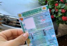 Detran-MT passa a exigir exame toxicológico para primeira habilitação nas categorias A e B a partir de junho