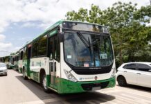 Programa Tarifa Zero completa um ano e soma mais de 1,3 milhão de viagens gratuitas em Cuiabá