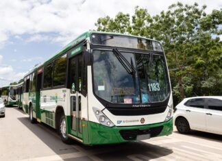 Programa Tarifa Zero completa um ano e soma mais de 1,3 milhão de viagens gratuitas em Cuiabá