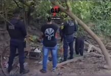 Vídeo: PM prende duas mulheres acusadas de tráfico de drogas em região de mata em Cuiabá