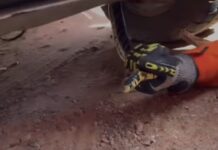 Vídeo: Cobra é resgatada de dentro de carro em Alta Floresta