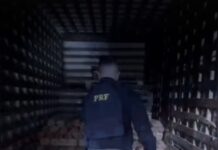 Vídeo: PRF apreende 540 kg de skunk em caminhão na BR 364 em Rondonópolis