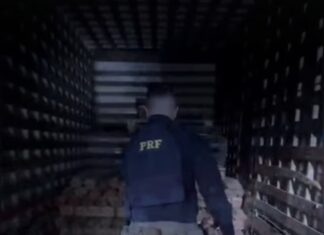 Vídeo: PRF apreende 540 kg de skunk em caminhão na BR 364 em Rondonópolis