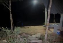 Vídeo: Ventos fortes e frio agitam Lago do Manso em MT