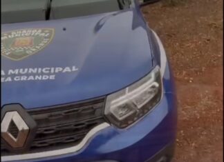 Veja Vídeo: Guarda Municipal de VV recupera carro roubado minutos após crime