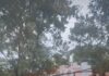 Veja Vídeo: Operação integrada recupera veículos furtados na Baixada Cuiabana