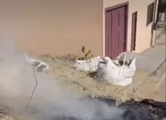 Veja Vídeo: Flagrante no Jardim Florianópolis mostra queimada urbana proibida em Cuiabá