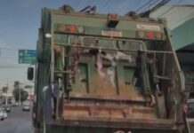 Veja Vídeo: Caminhão de lixo com sutiãs pendurados na traseira viraliza em Cuiabá