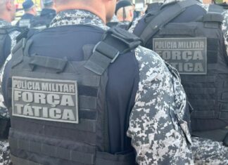 Apreensão de drogas cresce 591% no primeiro quadrimestre em Primavera do Leste
