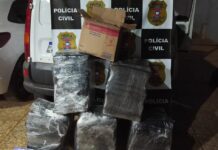 DHPP apreende 178 tabletes de maconha em dois veículos em Rondonópolis