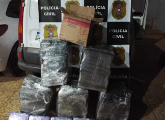 DHPP apreende 178 tabletes de maconha em dois veículos em Rondonópolis