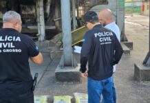 Polícia Civil apreende 109 kg de maconha em empresa de Alto Araguaia