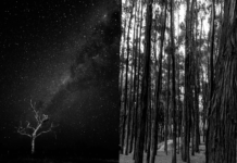 Exposição-cápsula apresenta imagens de Olinda Altomare na Casa do Parque
