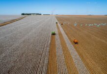 Mato Grosso mantém hegemonia no agronegócio nacional há mais de duas décadas