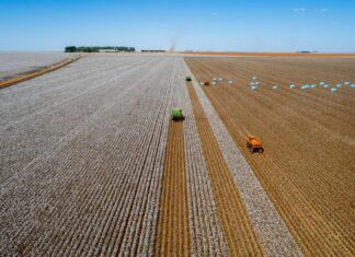 Mato Grosso mantém hegemonia no agronegócio nacional há mais de duas décadas