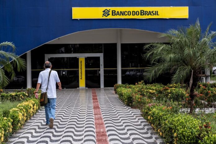BB novo