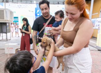 Parque Tia Nair em Cuiabá recebe mutirão de adoção e cadastro para vacinação gratuita neste sábado (27)