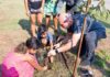 Campanha “Craques da Natureza” mobiliza crianças e famílias e Prefeitura de Cuiabá planta mil árvores em uma semana