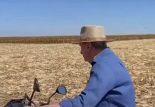 Veja Vídeo: Neri Geller volta ao campo para colher milho