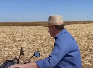 Veja Vídeo: Neri Geller volta ao campo para colher milho