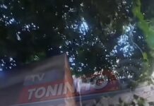 Veja Vídeo: Moradora tenta resgatar gata presa em muro há horas em Cuiabá