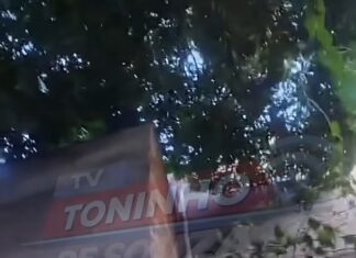 Veja Vídeo: Moradora tenta resgatar gata presa em muro há horas em Cuiabá