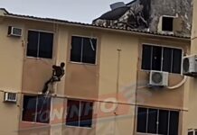 Veja Vídeo: Trabalhador é flagrado sem equipamentos de segurança em prédio de Várzea Grande
