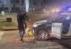 Veja Vídeo – Motociclista fica ferido após perseguição policial em Sinop