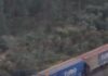 Veja Vídeo – Trem gigante cruza florestas de eucalipto em MT e vira sensação nas redes com imagens aéreas