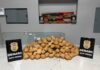 Polícia Civil apreende mais de 150 kg de maconha em casa usada como depósito em Cuiabá