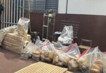 Mais de 250 tabletes de maconha e cocaína são apreendidos em fundo falso de caminhão na BR-364