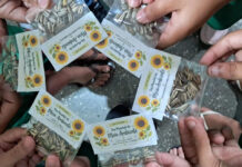 Escolas de Várzea Grande promovem ações de conscientização no Dia Mundial do Meio Ambiente