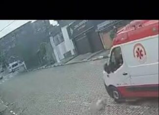 Veja Vídeo – Motorista do Samu é perseguido após atropelar cão em São Paulo; veja