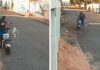 Câmera flagra momento em que homem mata gato a pauladas