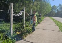 Operação Cidade Limpa remove mais de 60 placas irregulares em avenida de Cuiabá e autua responsáveis
