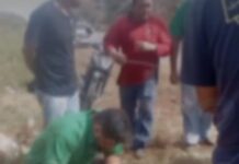 Veja Vídeo – Caminhão-guincho tomba após pneu estourar na MT-130, em Rondonópolis