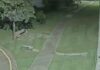 Veja Vídeo – Jovem é identificado após furtos em condomínio de luxo em Cuiabá