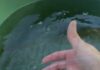 Veja Vídeo – Água com mau cheiro e sujeira gera revolta no Pedra 90 em Cuiabá