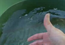 Veja Vídeo – Água com mau cheiro e sujeira gera revolta no Pedra 90 em Cuiabá